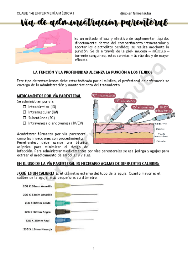 Miniatura del documento CLASE-14-MEDICA-I-STUDY.pdf