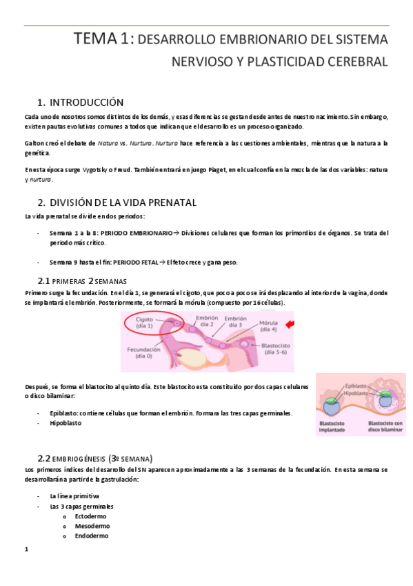Miniatura del documento TEMA-1.pdf