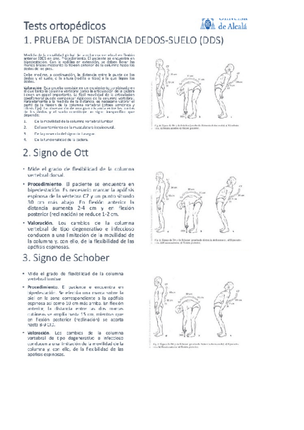 Miniatura del documento Pruebas-ortopedicas.docx