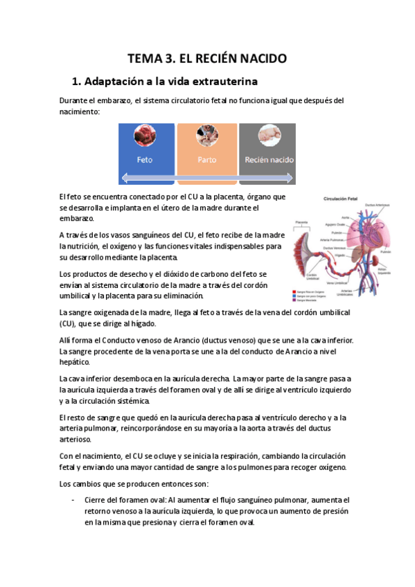 Miniatura del documento TEMA-3.pdf