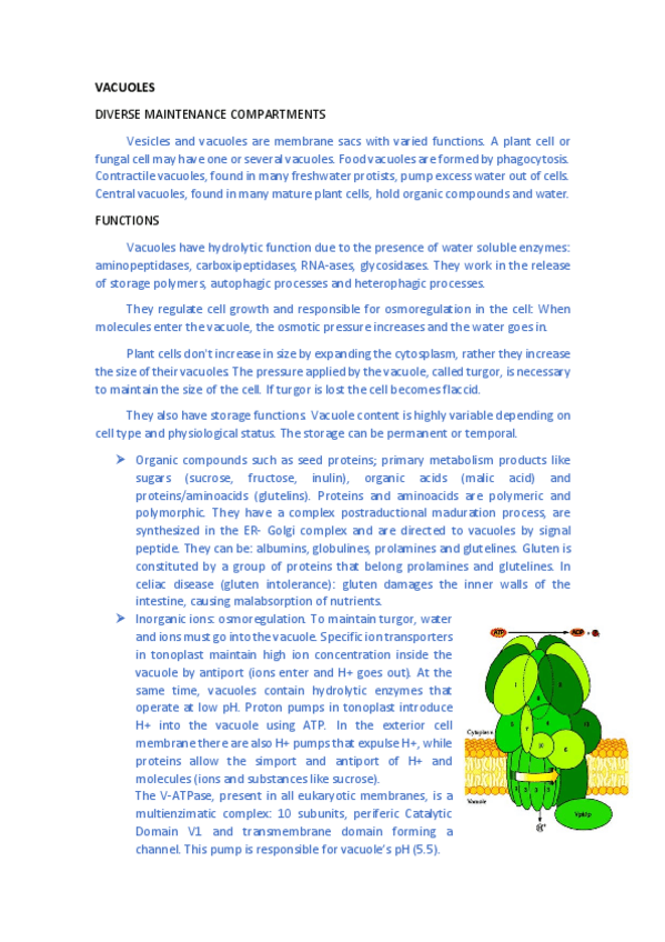 Miniatura del documento lesson-5.pdf