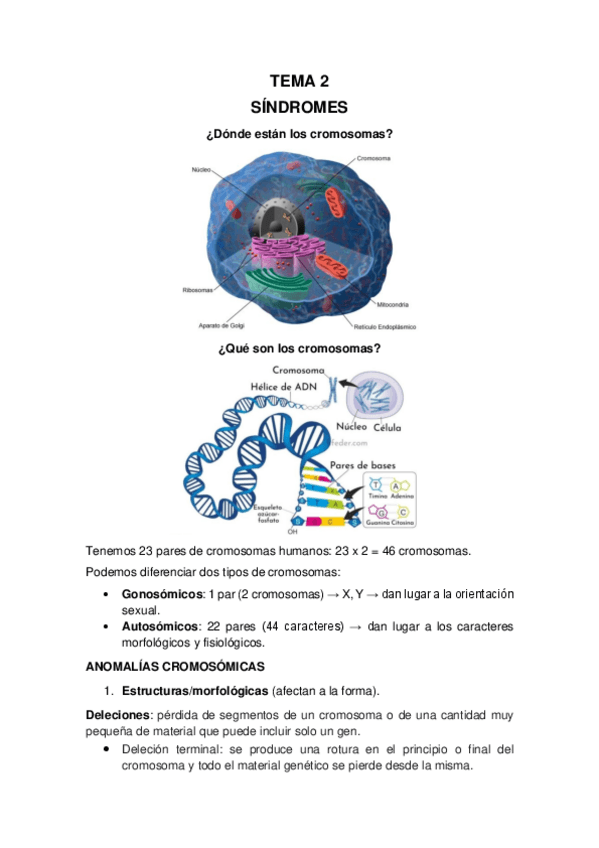 Miniatura del documento Bloque-2-Tema-2.pdf