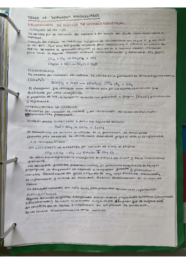 Miniatura del documento TEMA-17.pdf