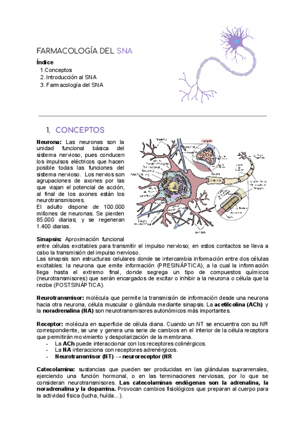 Miniatura del documento TEMA-2.pdf