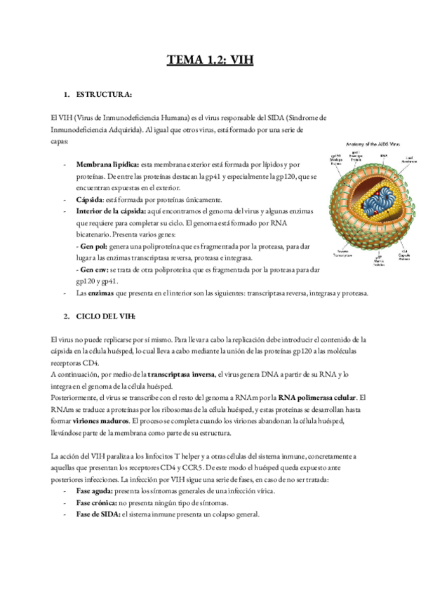 Miniatura del documento TEMA-1.pdf