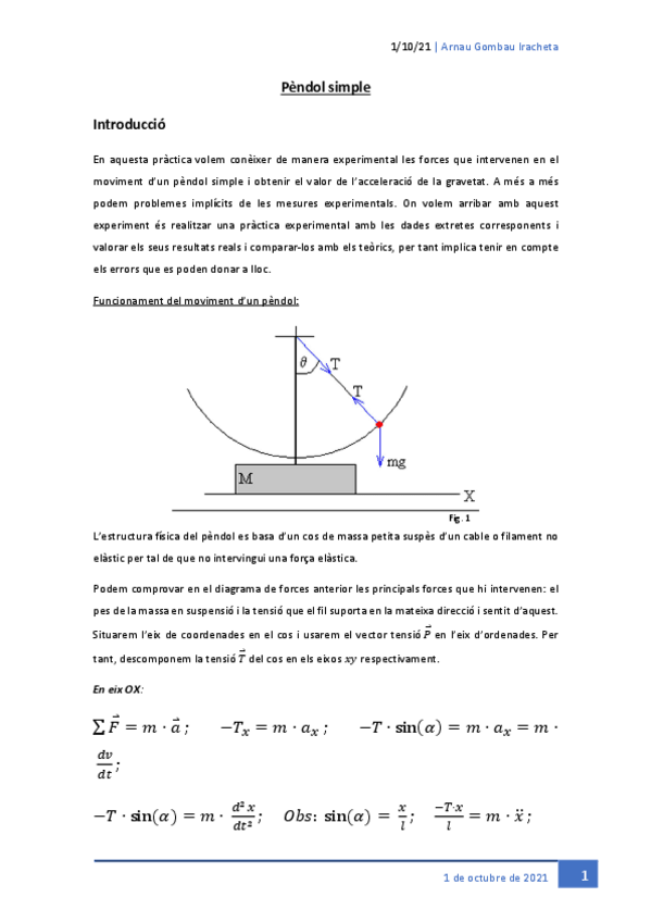 Miniatura del documento informependolig.pdf