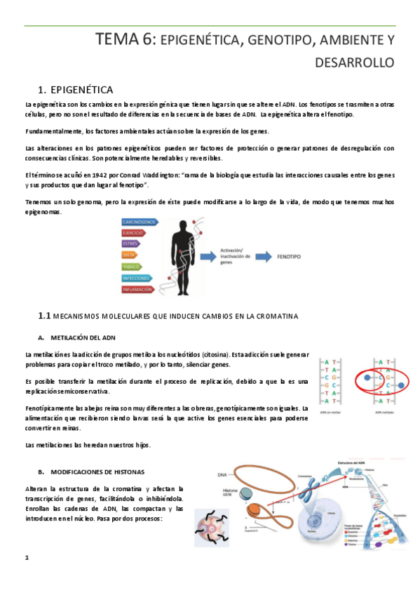 Miniatura del documento TEMA-6.pdf