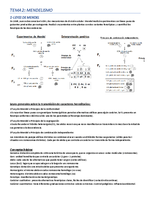 Miniatura del documento Tema-2A.pdf