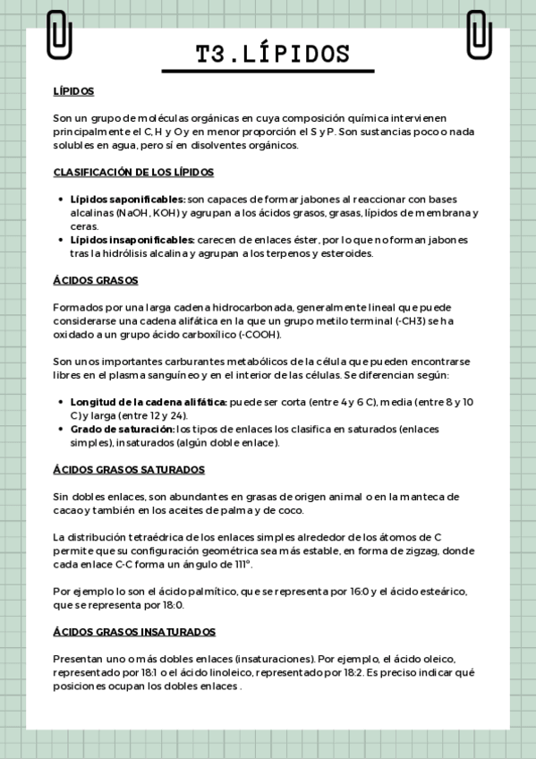 Miniatura del documento T3.pdf