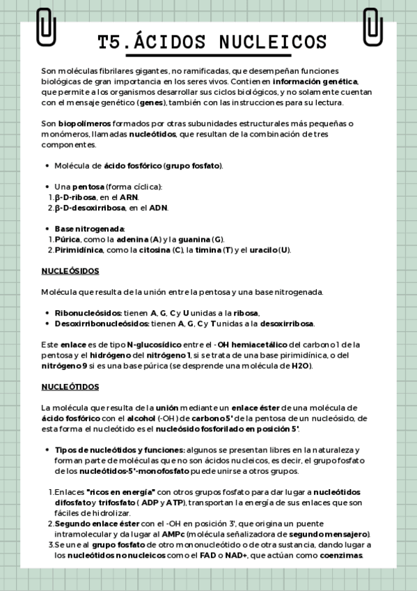 Miniatura del documento T5.pdf