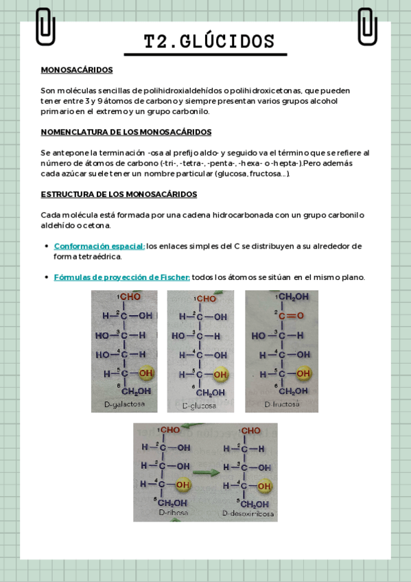 Miniatura del documento T2.pdf
