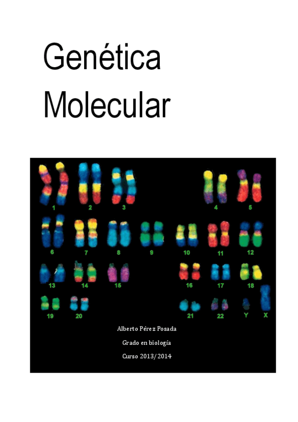 Miniatura del documento Genética Molecular Completo.pdf