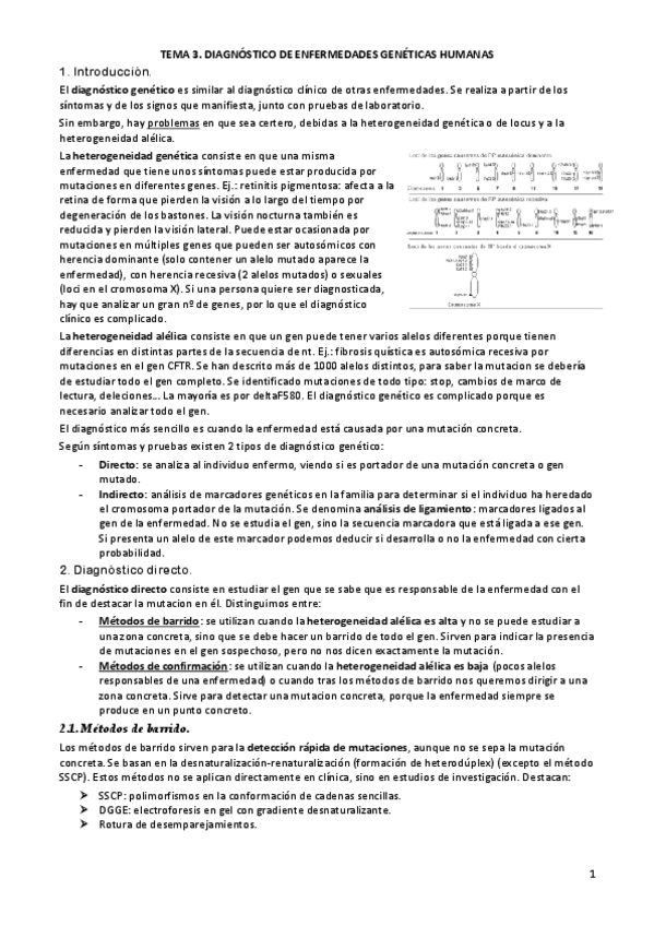 Miniatura del documento TEMA-3.pdf
