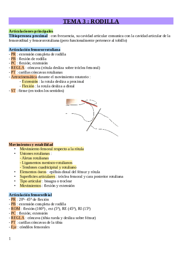 Miniatura del documento Tema-3-Rodilla.pdf