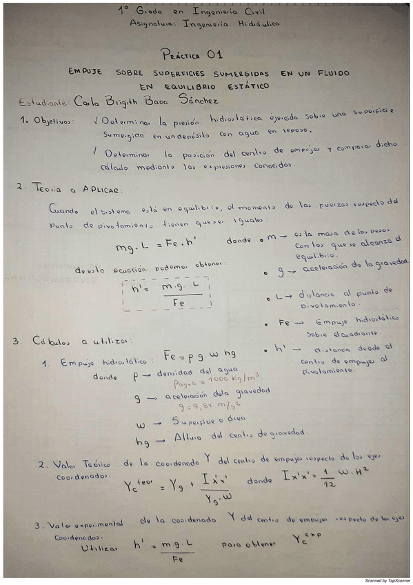 Miniatura del documento P01-Empuje-Sup-Sumergidas-Ing-Hidraulica.pdf
