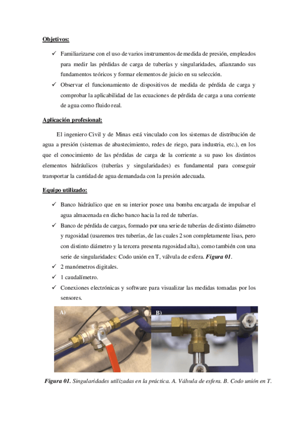 Miniatura del documento P02-Corrientes-en-carga-Ing-Hidraulica.pdf