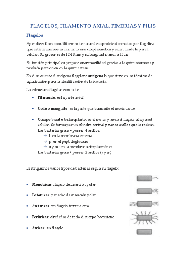 Miniatura del documento TEMA-3-MICROBIOLOGIA.pdf