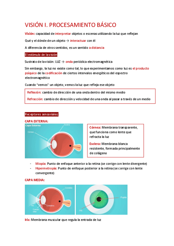 Miniatura del documento Visión I