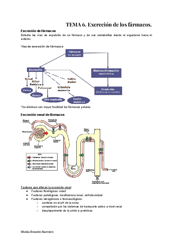 Miniatura del documento Farma-I-Tema-6.pdf
