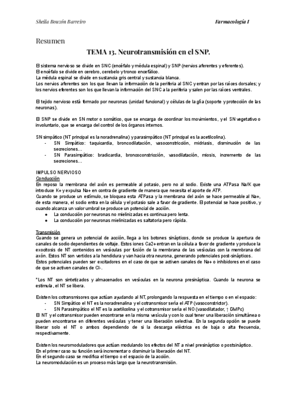 Miniatura del documento Temario-Resumen-REYES.pdf