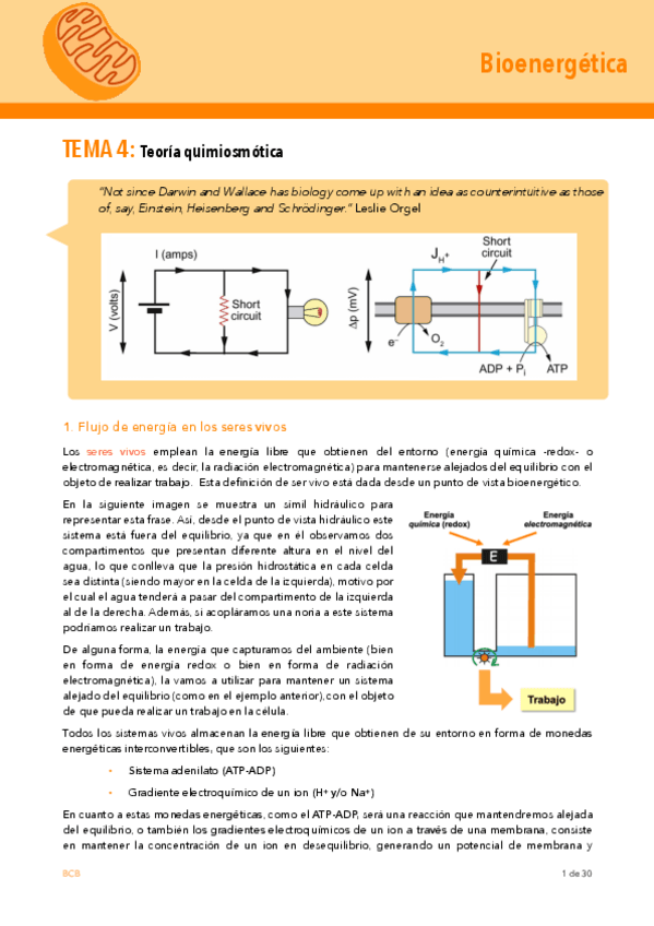Miniatura del documento Bioenergetica-TEMA-3.pdf