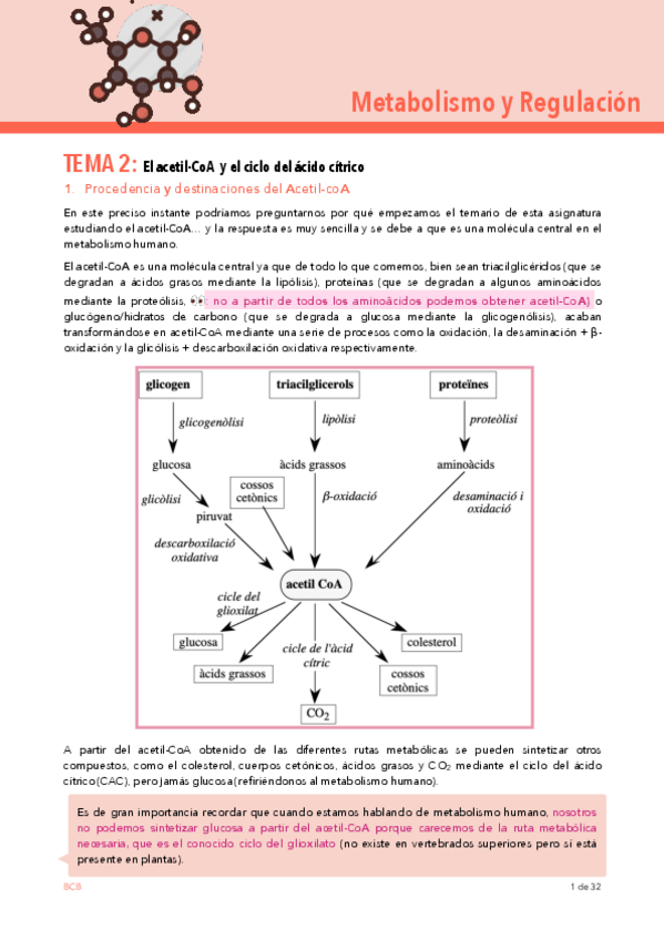 Miniatura del documento TEMA-2.pdf