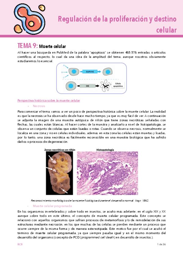 Miniatura del documento TEMA-9.pdf