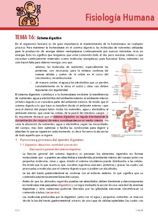 Miniatura del documento T16-FISIO.pdf