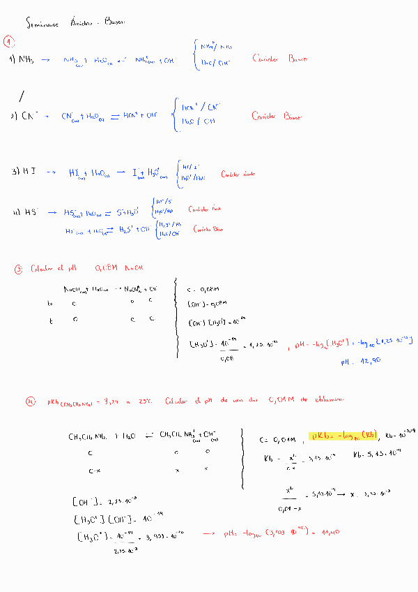 Miniatura del documento Seminario-Acidos-y-Bases-CTA.pdf