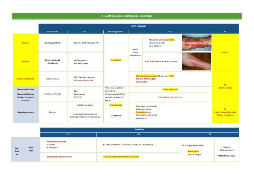 Miniatura del documento 9.pdf