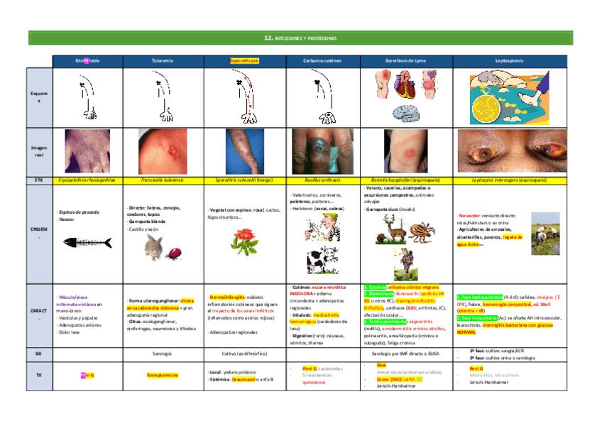 Miniatura del documento 12.pdf