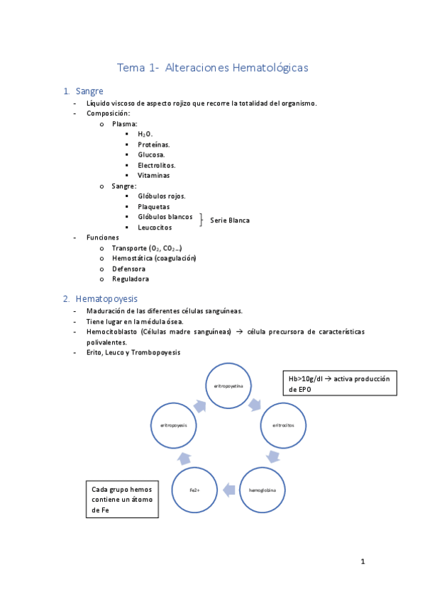 Miniatura del documento Hematologia.pdf