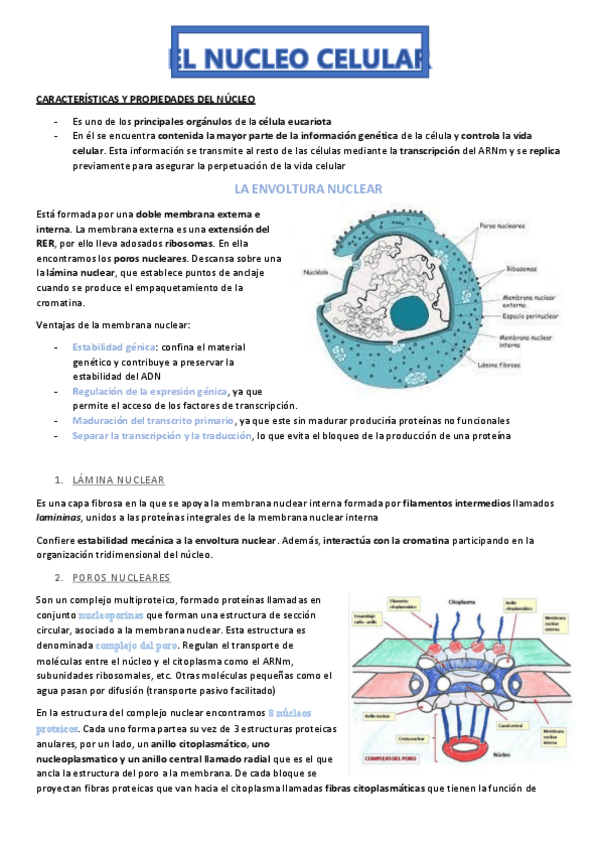 Miniatura del documento Tema-3.pdf