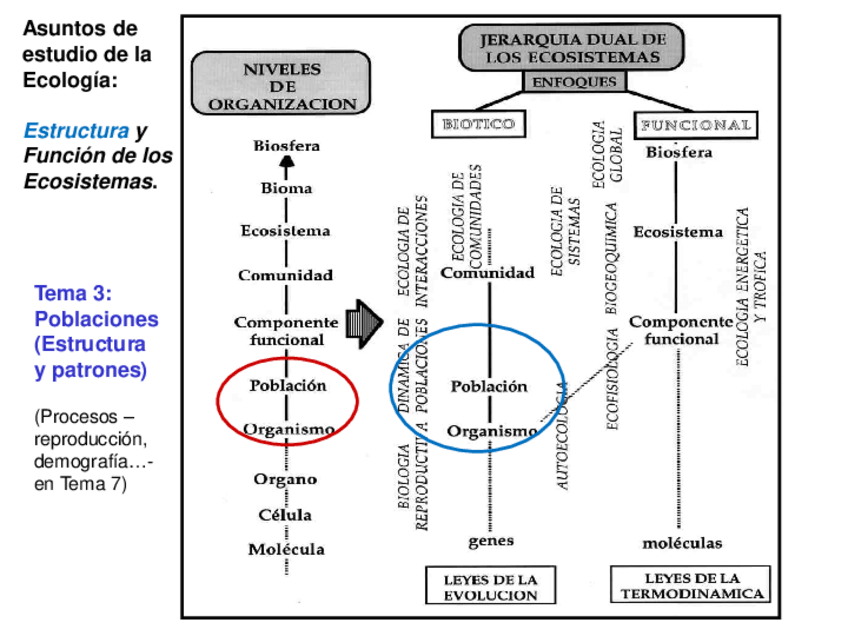 Miniatura del documento 3.pdf