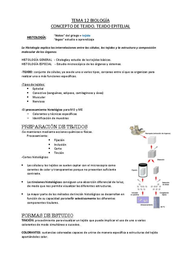 Miniatura del documento BIOLOGIA-TEMA-12-TEJIDOS-1-2.pdf