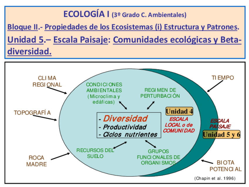 Miniatura del documento 5.pdf
