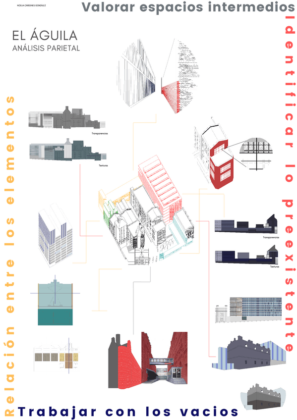 Miniatura del documento Parietal.pdf