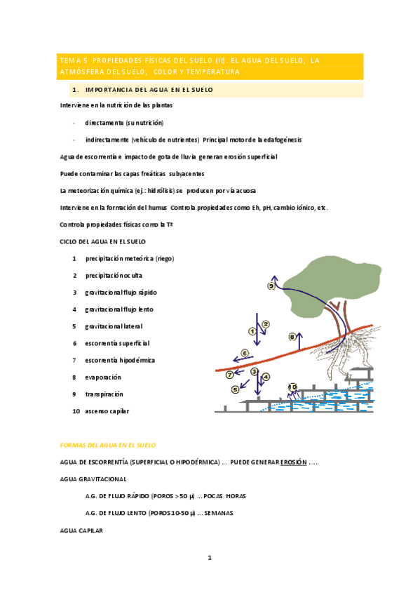 Miniatura del documento TEMA-5-PROPIEDADES-FISICAS-DEL-SUELO.pdf