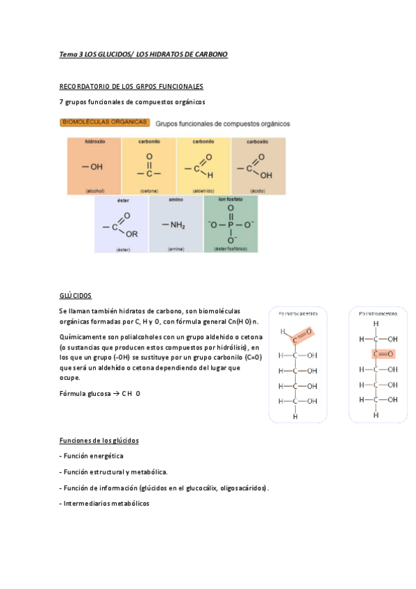 Miniatura del documento Tema-3-apuntes.pdf