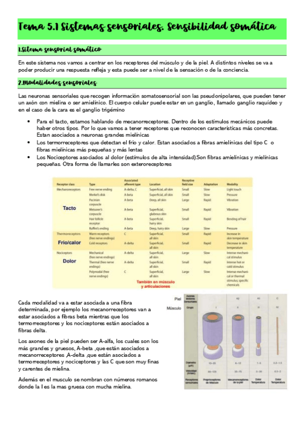 Miniatura del documento Tema-5.pdf