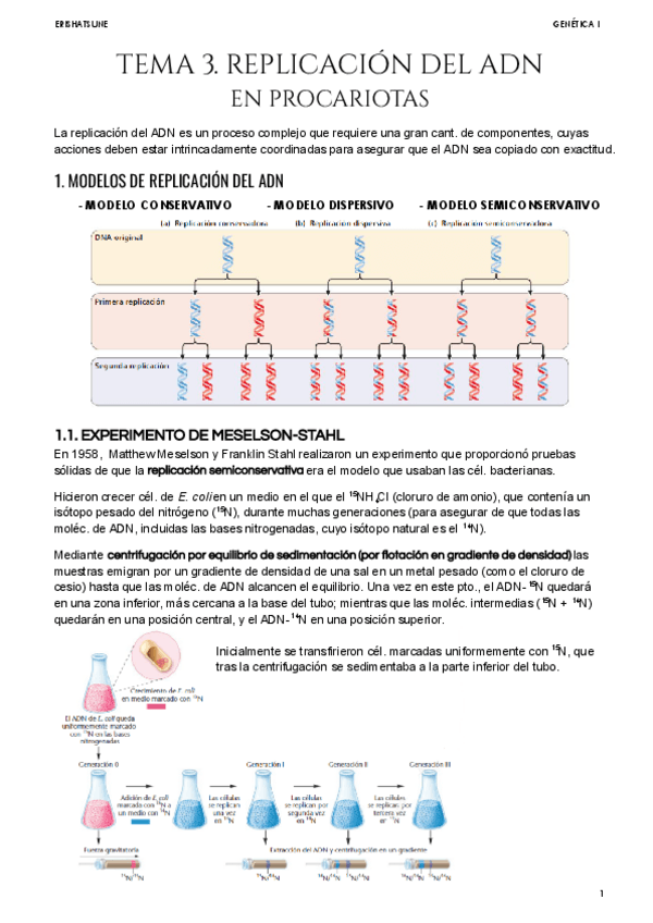 Miniatura del documento Tema-3-Replicacion-del-ADN-en-procariotas.pdf