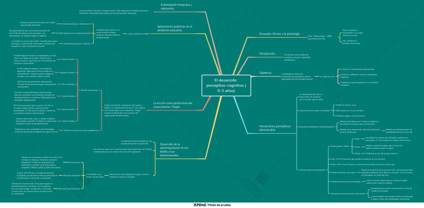 Miniatura del documento PRIMER-MAPA-EL-DESARROLLO-PERCEPTIVO-COGNITIVO-0-2-ANOS-SILVIA.pdf