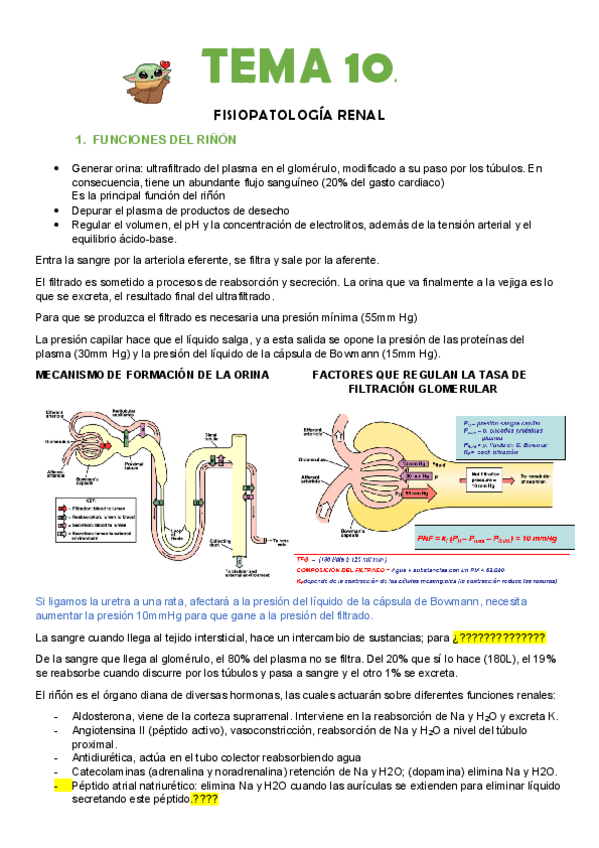 Miniatura del documento T10.pdf