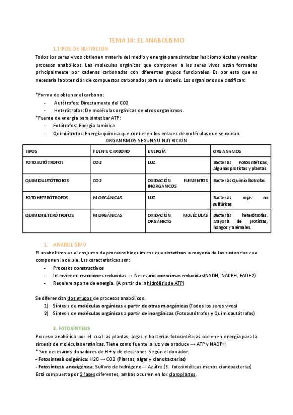 Miniatura del documento TEMA-14-EL-ANABOLISMO-1.pdf