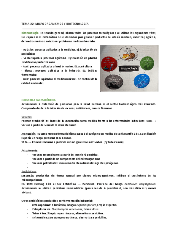 Miniatura del documento TEMA-22-MICROORGANISMOS-Y-BIOTECNOLOGIA-1.pdf