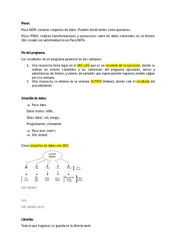 Miniatura del documento sas.pdf