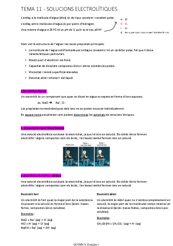 Miniatura del documento TEMA 11 - Solucions electrolítiques
