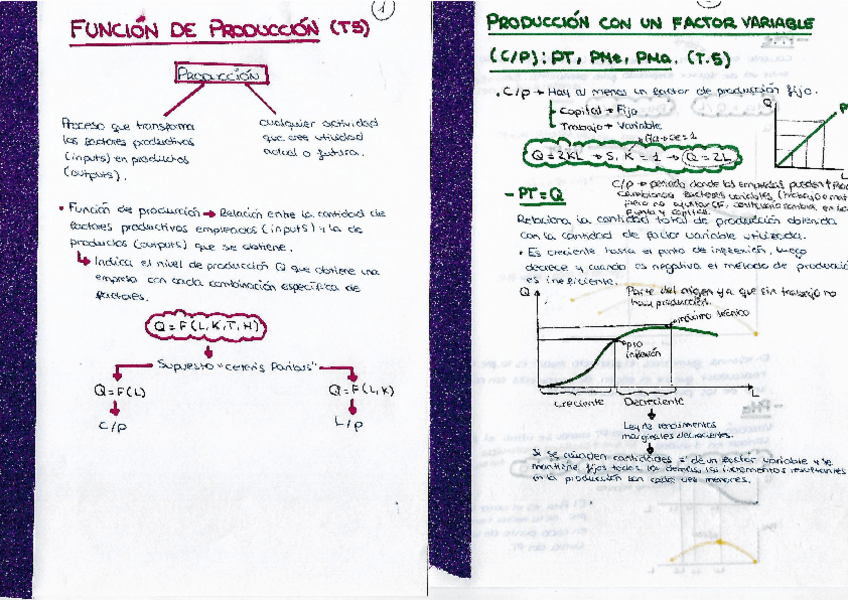 Miniatura del documento Tema 5 micro.pdf