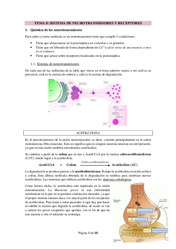 Miniatura del documento TEMA-8.pdf