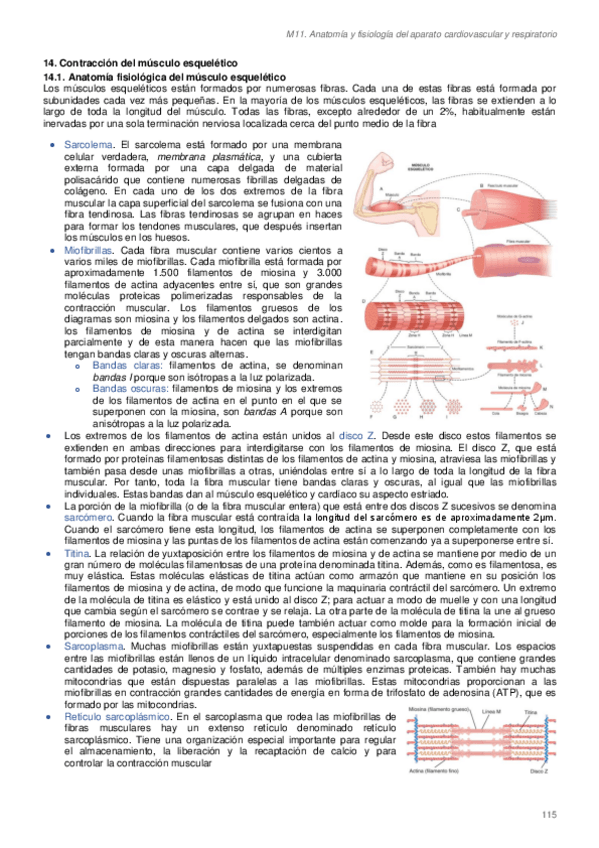 Miniatura del documento Cardio-I.pdf